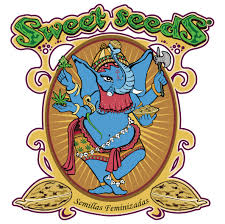 Sweet Seeds