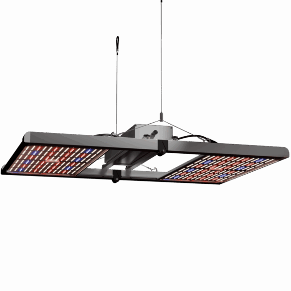 Caluma LED Force 480 W