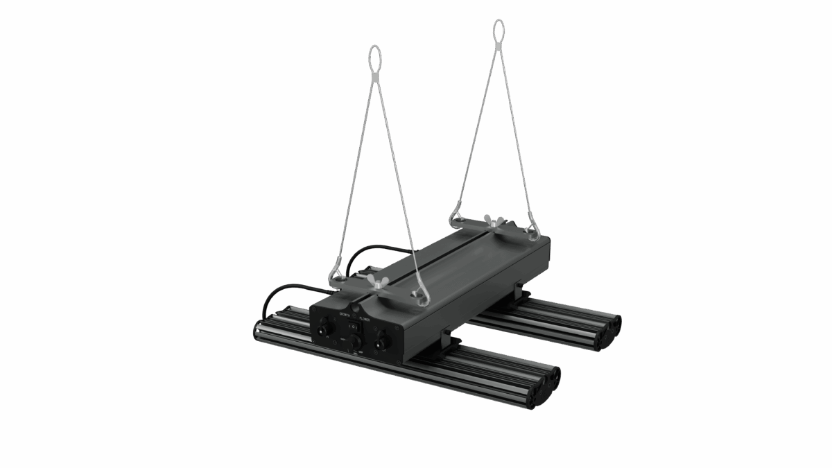 Greenception, GCx 4 PWR, 160W