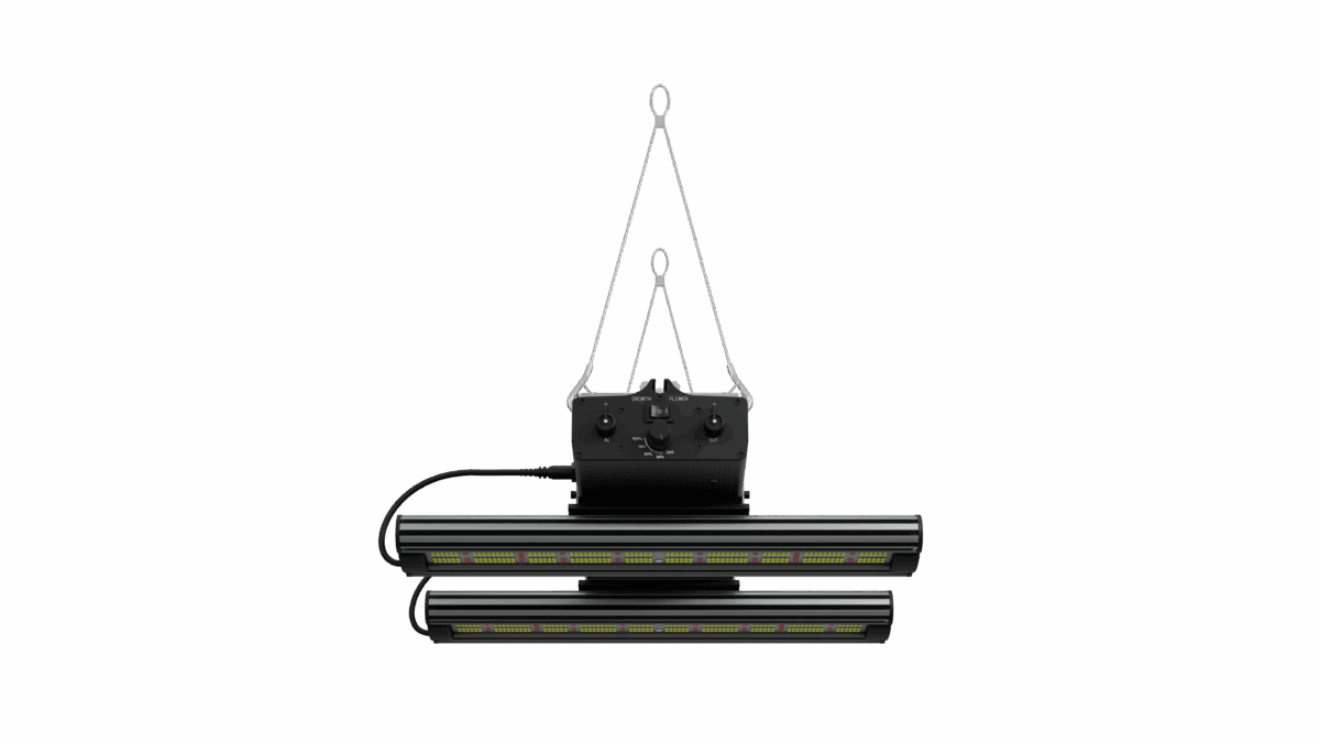 Greenception, GCx 4 PWR, 160W – Bild 3