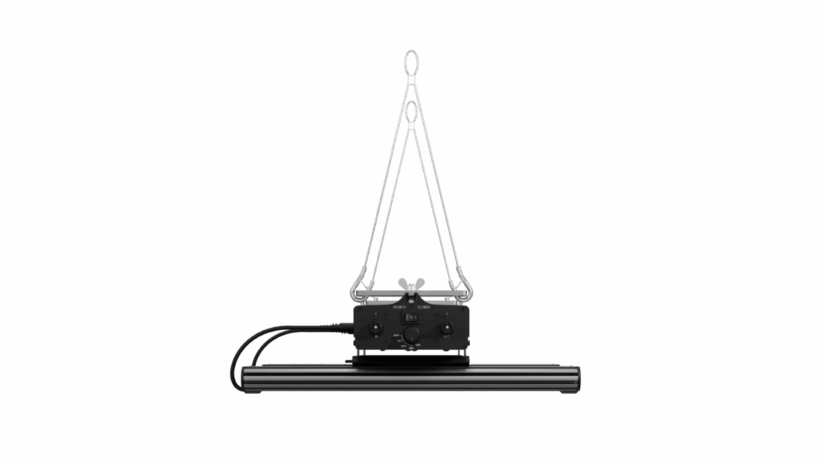 Greenception, GCx 4 PWR, 160W – Bild 4