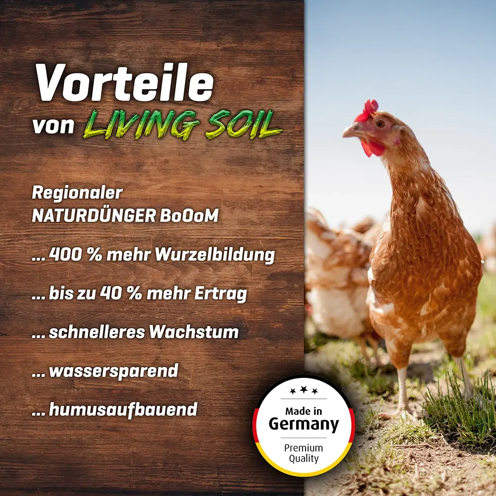 Plant BoOom - Chicken Shit – Bild 2